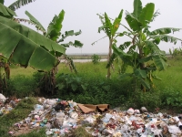 Quyết định 712/QĐ-TTg về bảo vệ môi trường nông thôn xử lý rác thải nước thải